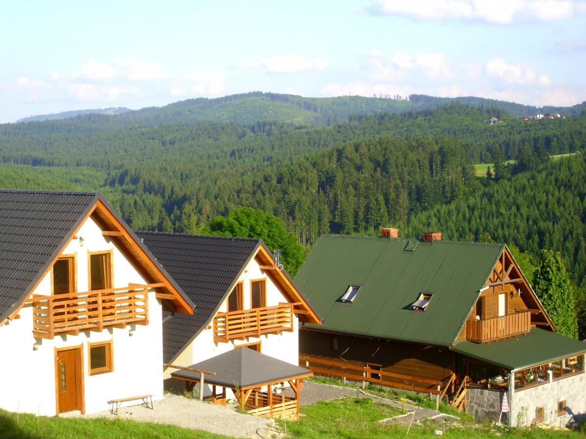 Domek U Malysza Istebna Buitenkant foto