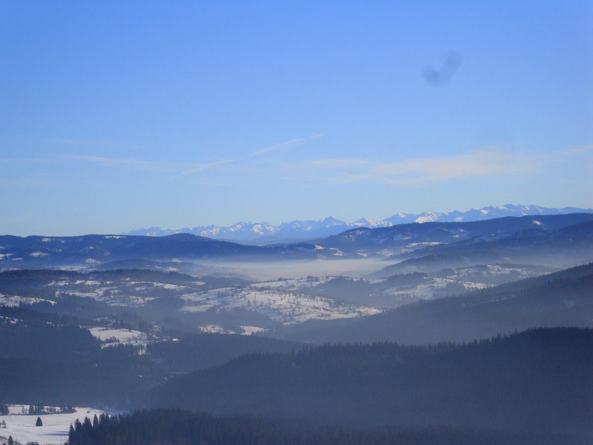 Domek U Malysza Istebna Buitenkant foto